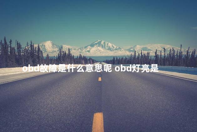 obd故障是什么意思呢 obd灯亮是什么意思